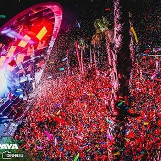 Papaya club atmosphere
